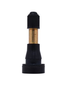 DILE600D-100 image(1) - Dill Air Controls Dill TR600HP Snap-In Tire Valve 100pk.