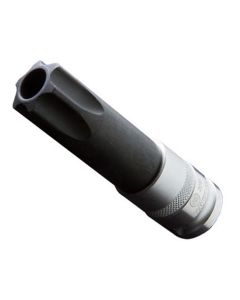 ANR6500TPT-100 image(0) - Assenmacher T100 Tamper Proof Torx Socket