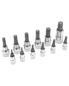 WLMW38802 image(0) - Wilmar Corp. / Performance Tool 12 Piece Star Bit Socket Set