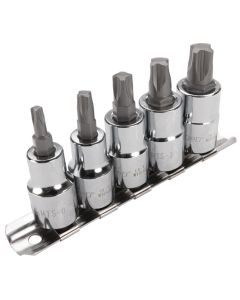 WLMW13500 image(0) - Wilmar Corp. / Performance Tool 5 Piece Mortorq Bit Socket Set