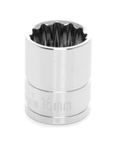 WLMW38816 image(0) - Wilmar Corp. / Performance Tool 3/8" Drive 16mm 12pt Socket