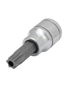WLMW38947 image(0) - Wilmar Corp. / Performance Tool 3/8" Drive T47 TR Star Bit Socket