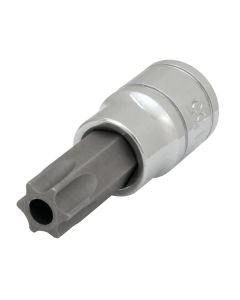 WLMW38955 image(1) - Wilmar Corp. / Performance Tool 3/8" Drive T55 TR Star Bit Socket