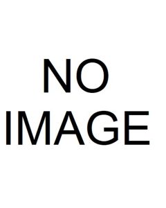 ATEAPP-6644485 image(0) - Atlas Automotive Equipment Horizontal Swing Arm for PTC300 (Hex Hole/New Style)