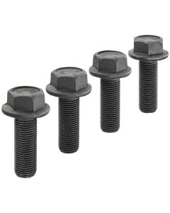 DWTDWA5842 image(0) - DEWALT Fastener Kit For Floor Scraper