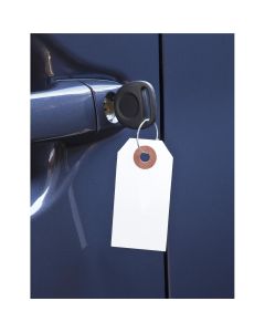 Petoskey Plastics Paper Key Tag w/ Metal Ring 1000/Box