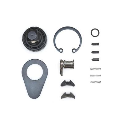 KDT81227P image(0) - GEARWRENCH 3/8 Inch Drive 120XP Non-Quick Release Dual Pawl Ratchet Repair Kit