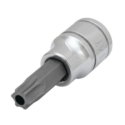 WLMW38947 image(0) - Wilmar Corp. / Performance Tool 3/8" Drive T47 TR Star Bit Socket