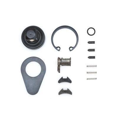 KDT81099P image(0) - GEARWRENCH 1/4 Inch Drive 120XP Non-Quick Release Dual Pawl Ratchet Repair Kit