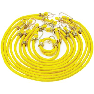 WLM1455 image(0) - Wilmar Corp. / Performance Tool 10 Piece Bungee Cord Set