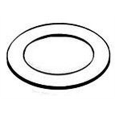 SUR120 image(0) - Milwaukee Sprayer P120 - Filler Cap Gasket