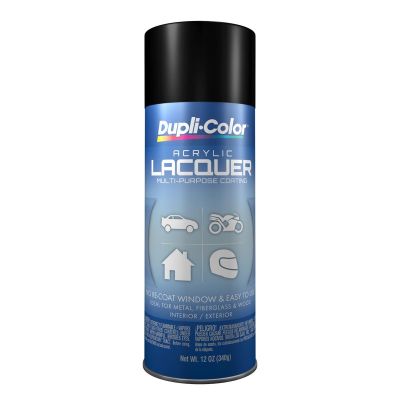 DUPDAL1608 image(0) - Krylon Semi-Gloss Black
