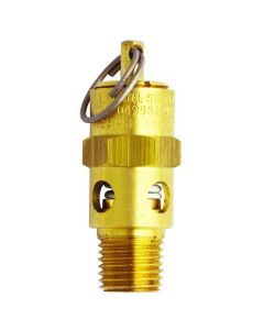 Milton Industries ASME Saf. Valve 1/4"NPT 200 PSI