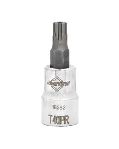 MAY16252 image(0) - Mayhew Mayhew T40IPR Tamper Torx Plus&reg; Short Insert Socket Bit, 3/8-Inch Drive