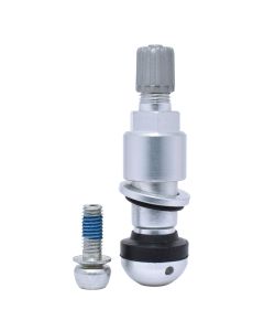 Dill Air Controls TPMS 52MM BERU VALVE - SILVER W/O-RING