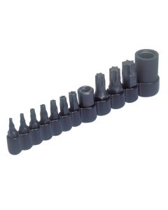 LIS26530 image(1) - Lisle MASTER TAMPER PROOF SET T10-T55 BITS