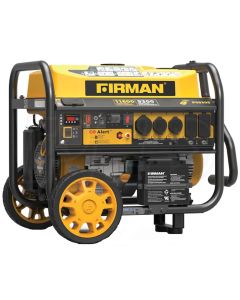 FRGP09305 image(0) - Generator, 11,600, Remote Start, 124/140 V