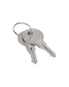 SRWS90479 image(0) - Sellstrom Keys for Monitor 2000 Germicidal Cabinet (set of 2) (S90494)