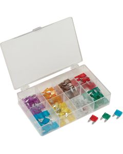 TIT45229 image(1) - TITAN 96-PC MINI BLADE FUSE ASSORTMENT WIT