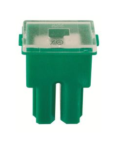 JTT20317F image(0) - The Best Connection 40 Amp Green Fuse Fm Terminal