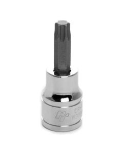 WLMW38840 image(0) - Wilmar Corp. / Performance Tool 3/8'' Dr Star Bit Socket T-40