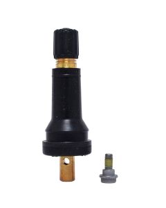 DILVS-15 image(0) - Dill Air Controls SNAP-IN TPMS STEM & STEPPED SCREW- Pack of 4