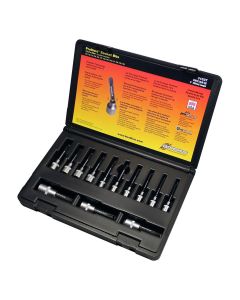 BND31037 image(1) - Bondhus Corp. Set 13 ProHold Star Bits 2" (T