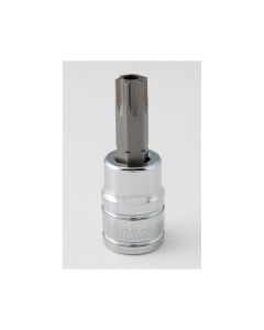 TIT68850 image(0) - TITAN 3/8" DR T50 TR TORX BIT SOCKET