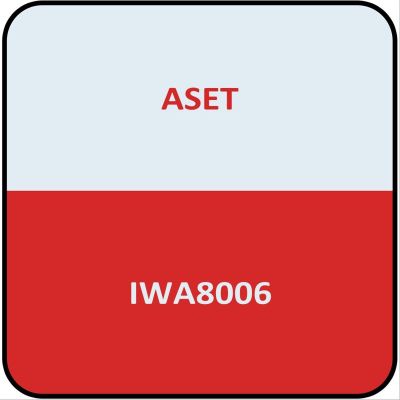 IWA8006 image(0) - Iwata Phn6 - 6 ft. Nylon