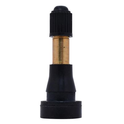 DILE600D-100 image(1) - Dill Air Controls Dill TR600HP Snap-In Tire Valve 100pk.