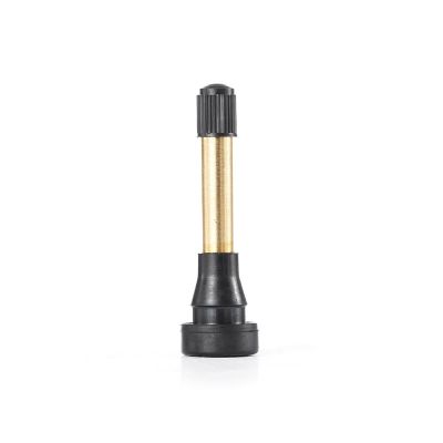 TMRTR602HP-100 image(0) - Tire Mechanic's Resource TR602HP High Pressure Snap-in Tire Valve with Brass Stem (Pack of 100)