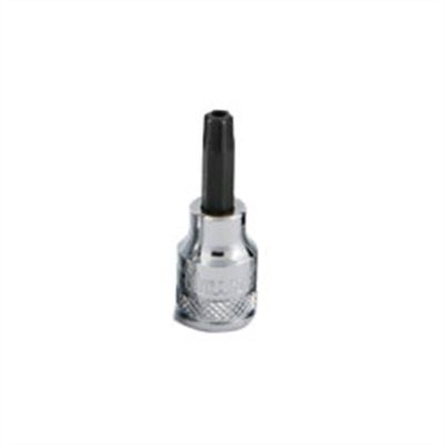 TIT68845 image(0) - TITAN 3/8" DR T45 TR TORX BIT SOCKET