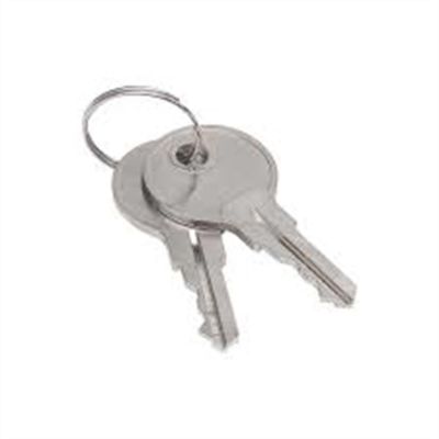 SRWS90479 image(0) - Sellstrom Keys for Monitor 2000 Germicidal Cabinet (set of 2) (S90494)