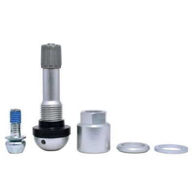 DIL1092 image(0) - Dill Air Controls REPL SILVER BERU TPMS STEM