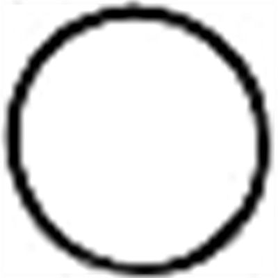 STL700025 image(0) - Streamlight O RING FOR TAIL