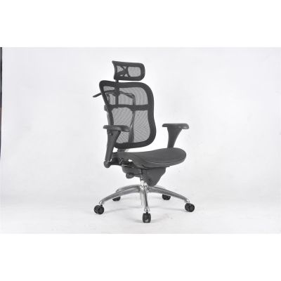 LDS1010462 image(0) - ShopSol Executive Chair - Mesh seat/back