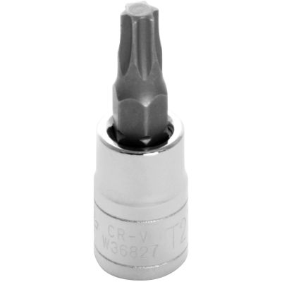 WLMW36827 image(0) - Wilmar Corp. / Performance Tool 1/4'' Dr Star Bit Socket T-27