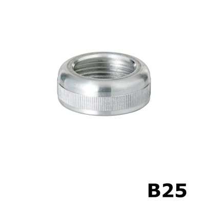 SUR25 image(0) - Milwaukee Sprayer B25 - Model B Valve Head