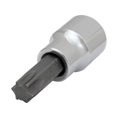 WLMW38850 image(0) - Wilmar Corp. / Performance Tool 3/8" Drive T50 Star Bit Socket